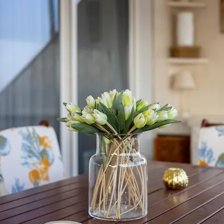 Apartman Luxury Znjan *