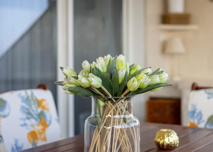 Apartman Luxury Znjan *